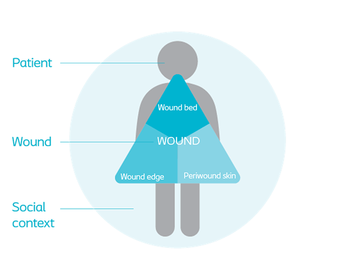 Wound assessment tools