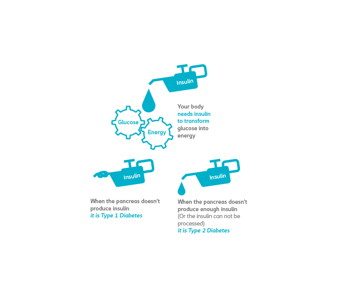 There are two types of diabetes: