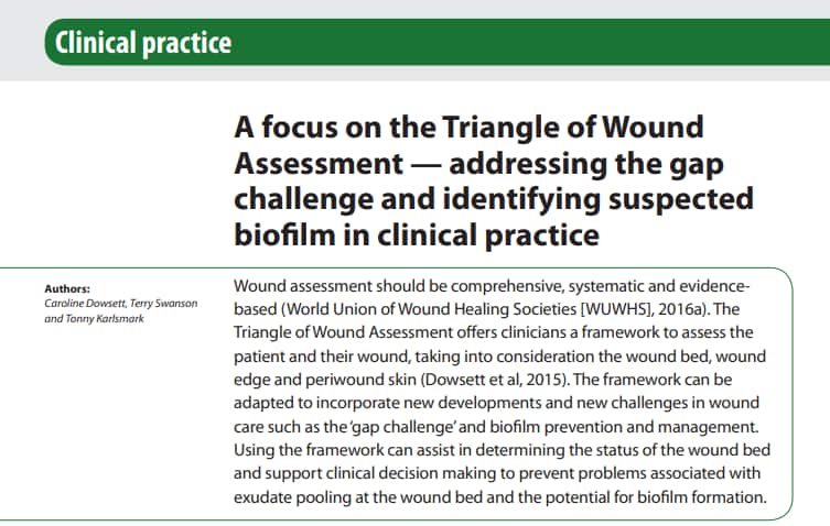 A focus on the Triangle of Wound Assessment — addressing the gap challenge and identifying suspected biofilm in clinical practice