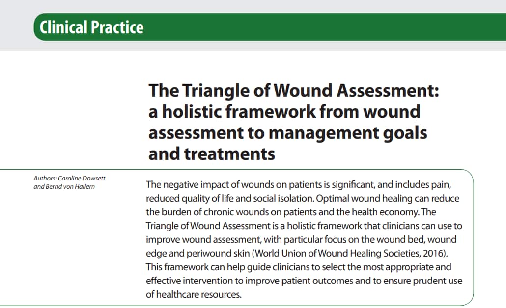 The Triangle of Wound Assessment: a holistic framework from wound assessment to management goals and treatments